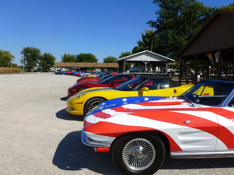 STLCC PICNIC SEPT 2014 101